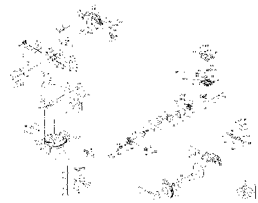 Exploded Diagram A Diagram and Parts List for BD200L-CACT Type 1 Black and Decker Miter Saw